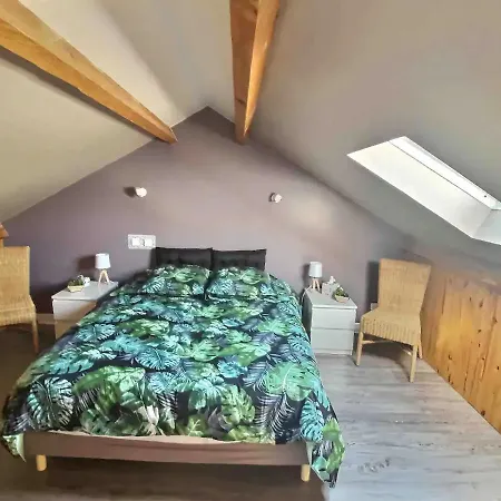 Daire Disney Cosy - Hote Bnb Meaux